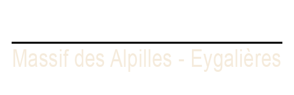 logo camping le pesquie